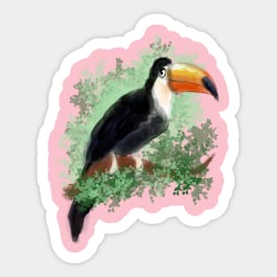 Toucan Sticker